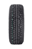 winter_extrema_evo_2