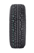 winter_extrema_evo_2