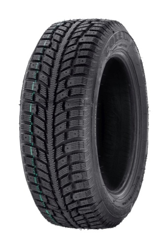 winter_extrema_evo_1_556074920